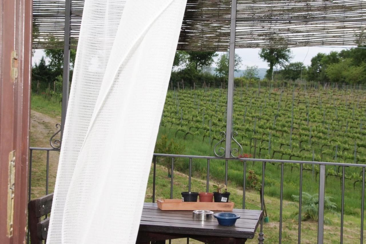 Il Pino Bioagricoltura Villa Terranuova Bracciolini Exterior photo