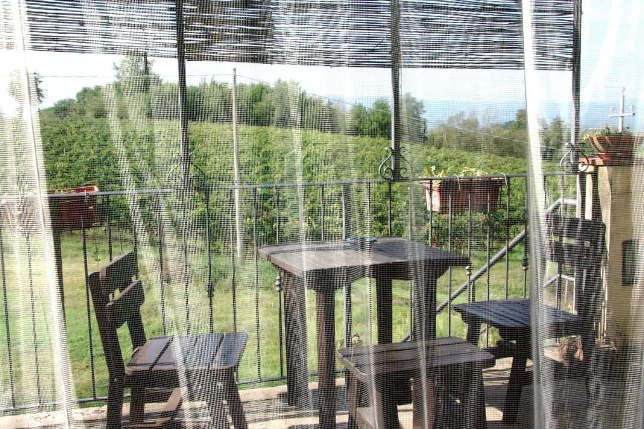 Il Pino Bioagricoltura Villa Terranuova Bracciolini Exterior photo