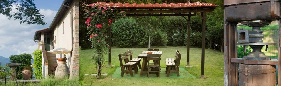 Il Pino Bioagricoltura Villa Terranuova Bracciolini Exterior photo